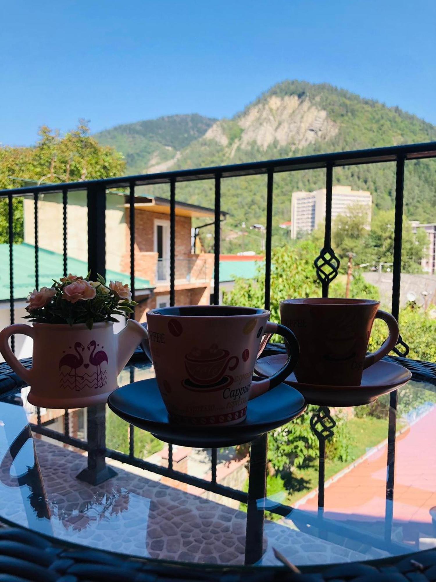 Guest House Borjomula Borjomi Room photo